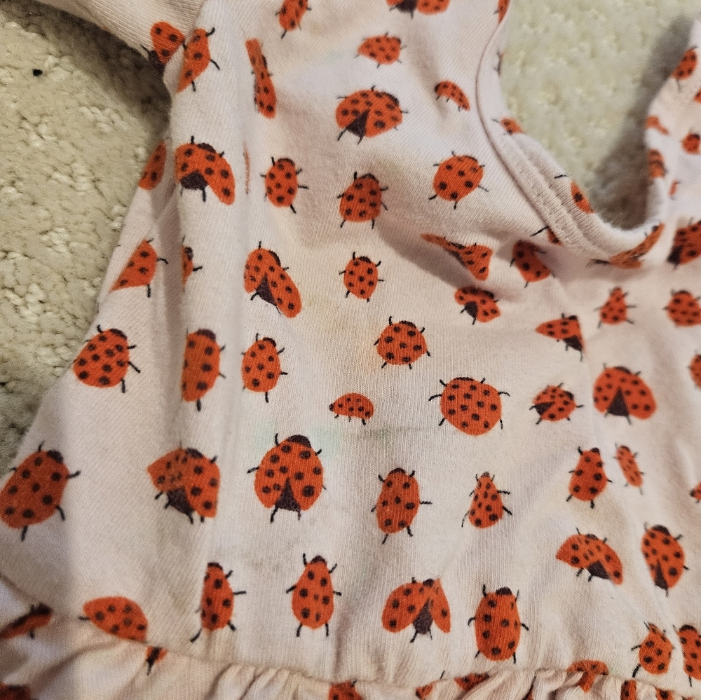 Alice and Ames Ladybug Dress 3T